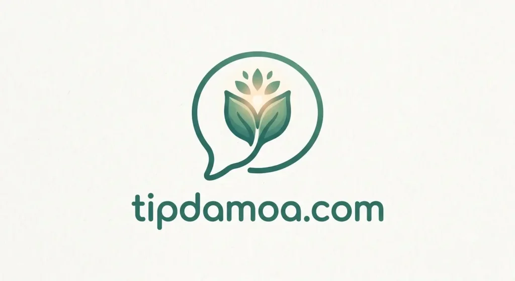 tipdamoa.com